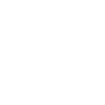 30 - IANSA