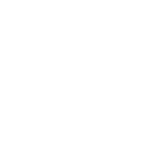 66 - Andritz